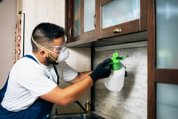 Best Residential Pest Control  in Sleepy Hollow, NY