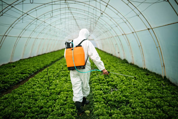 Best Best Pest Control Near Me  in Sleepy Hollow, NY
