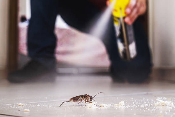 Wildlife Control Services in Sleepy Hollow, NY